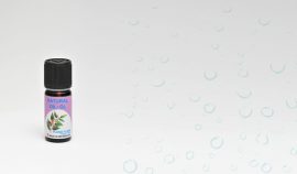ylang_b