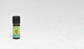 tea_tree_b